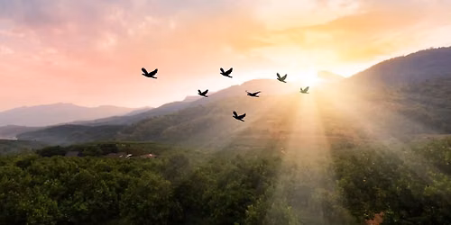 Women\u2019s Meditation & Deepening Series