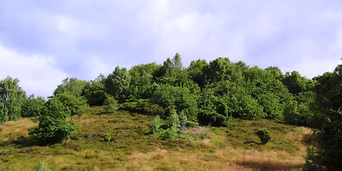 Skov, jagt og friluftsliv i Fladbro Skov og Rævehulen