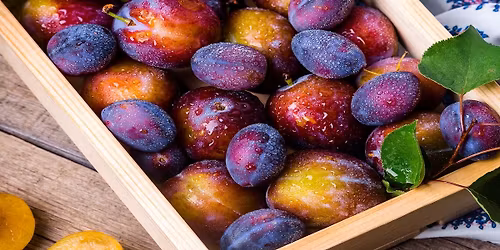  \u015awi\u0119to \u015aliwki w Szyd\u0142owie i skansen w Tokarni [z Warszawy\/ Radomia] \ud83d\udc9c