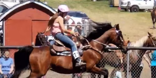 August SVH Summer Gaming Series 2 Day Show @ the Stanwood-Camano Fairgrounds