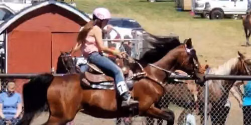 August SVH Summer Gaming Series 2 Day Show @ the Stanwood-Camano Fairgrounds