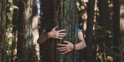 Nature-Based Approaches to Attachment and Relational Healing
