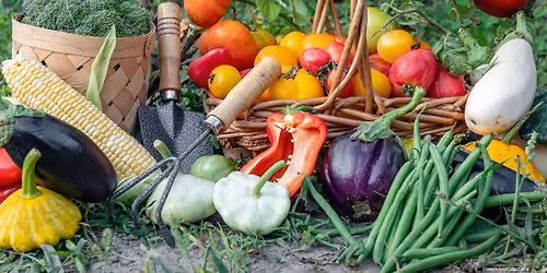 Organic Spring Vegetable Gardening