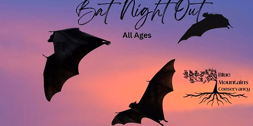 Bat Night Out - All ages - A Wild School Family Event