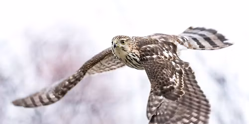 Field Trip: Martha Lafite Thompson Nature Sanctuary