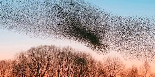 DANCING SPACE | Un percorso tra Danza, Improvvisazione e Contact Improvisation | Lior Ophir