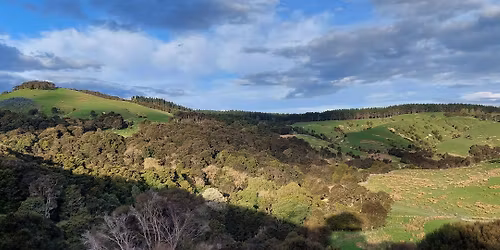 H\u0101pua Farm Walk