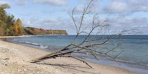 Earth HEart MKE- Free Event