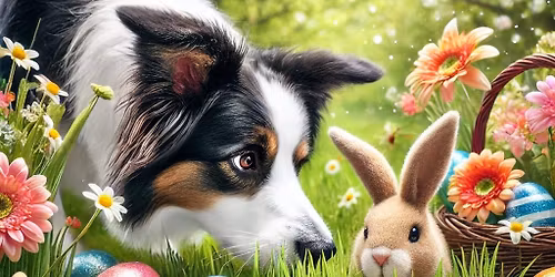 Cinnamon Bunny Quest II: Wielkanocna Gra Terenowa \ud83d\udc30\ud83d\udc23