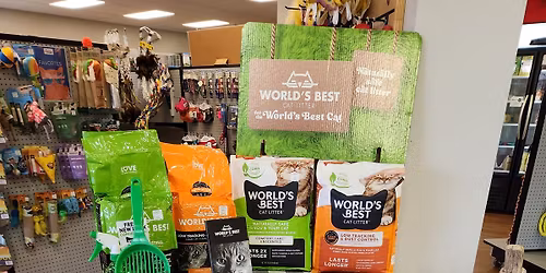 World's Best Cat Litter Demo Talk!