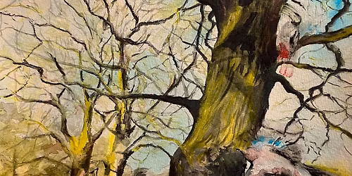 Seeing the Garden through Art: Painting and drawing workshops