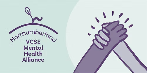 VCSE Alliance Celebration and Networking Event