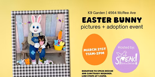 Easter Bunny Pictures + Adoption Event with Speak