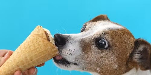 Ice Cream Fundraiser for the Southside SPCA at Dell's Dairy Bar