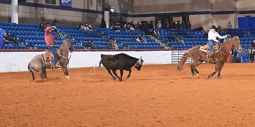FWSSR AQHA & APHA Ropings 