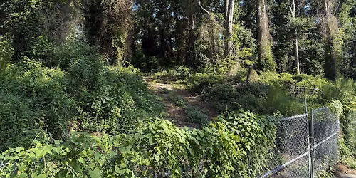 Union Cemetery Cleanup 3: Griffin Gives Back