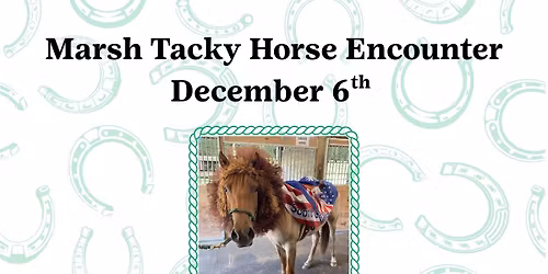 Marsh Tacky Horse Encounter