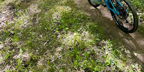 Family Friendly MTB Group Ride at Refo!