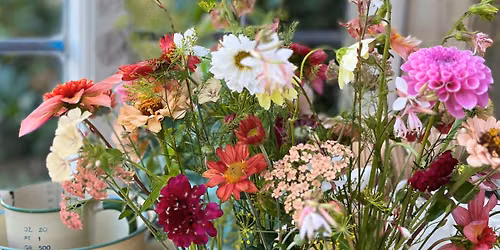 Meadow Box Magic
