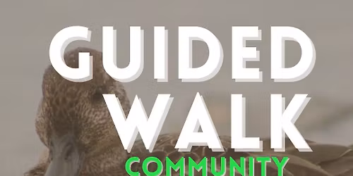 Family Friendly Guided Walk - Community Bird Watching 
