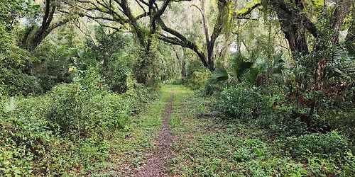 Landbridge Trail 5k