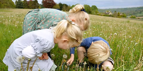 Monday on the Meadow