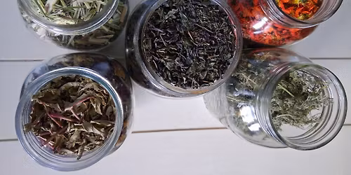 Craft Happy Hour: Herbal Remedy with Kim Nicole