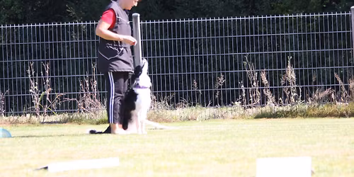 2. Fast'n Furious FCI-RO Wochenende