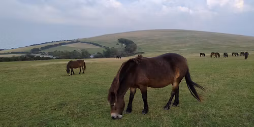 North Coast Exmoor 4.7mile Sunset (16\/05\/26) Bring cake for sunset stop
