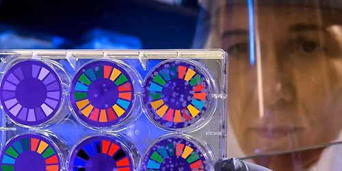 Research afternoon in Biskopsg\u00e5rden