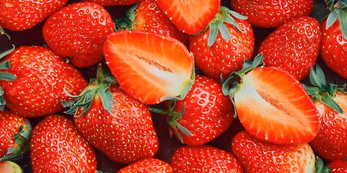 Kids Workshop: Plant a Strawberry, Grow a Garden