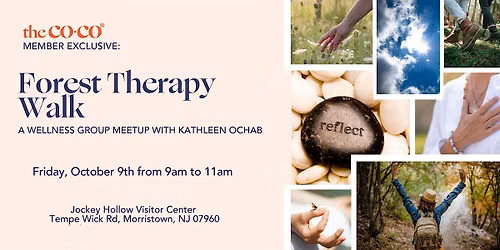 Co-Co Member Exclusive: Wellness Group