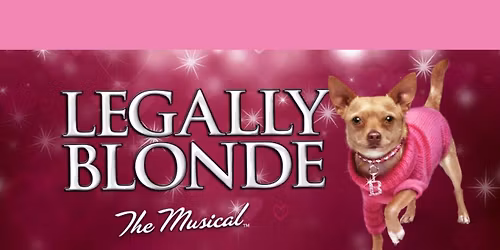 Legally Blonde The Musical