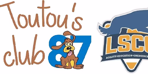 Concours Agility 2026