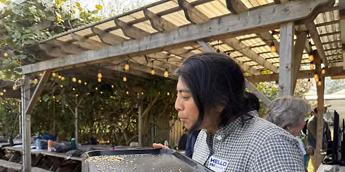 Seed Sourcing for Students and Young Professionals