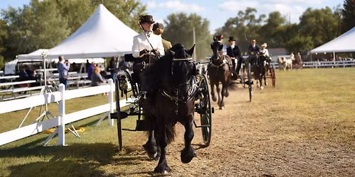 Villa Louis Carriage Classic