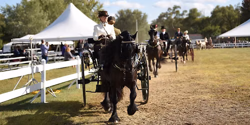 Villa Louis Carriage Classic