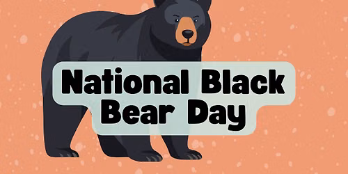 National Black Bear Day at Menominee Park Zoo