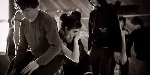 Constellating The Senses