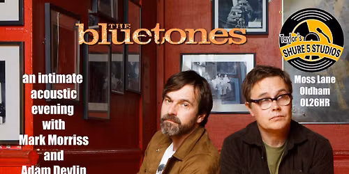 The Bluetones Acoustic