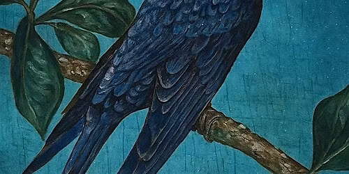 Wink from the Universe