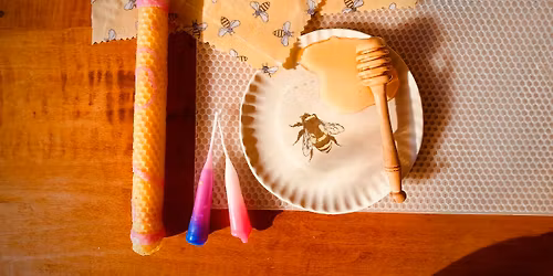 Inside the Hive: Honeybee Basics & Candle Making