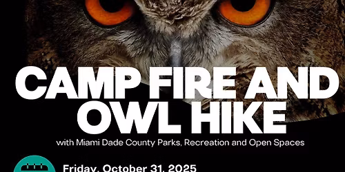 Campfire & Owl Walk