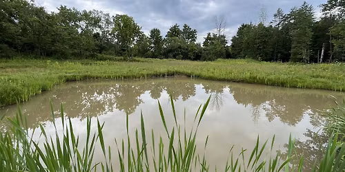 Earth Week Pond Wildflower Planting #2