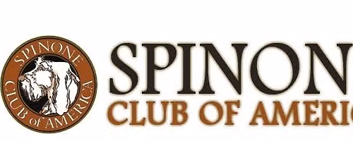 Southeast Spinone Club Specialty