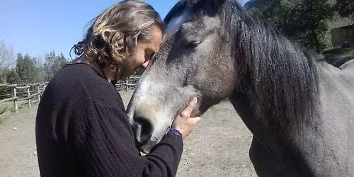 Stage Horsemanship avec Walter Badet 1