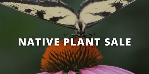 St. Joseph Native Plant Sale \u2013 Remington Nature Center