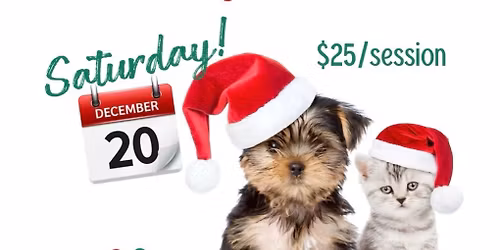 Pet Holiday Photoshoot- 2025, 2nd date!