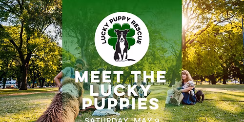 NY- Meet the Lucky Puppies