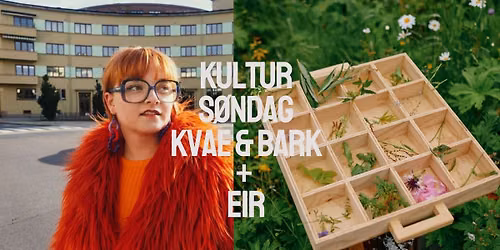Kulturs\u00f8ndag: Kunstnerduoen KVAE & BARK + artisten Eir